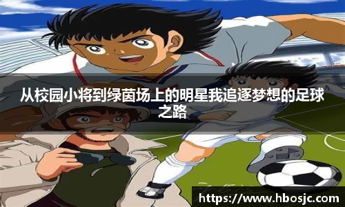 从校园小将到绿茵场上的明星我追逐梦想的足球之路